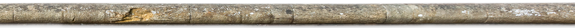 wood log
